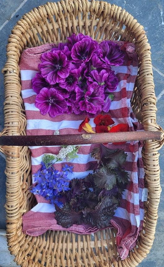 Panier