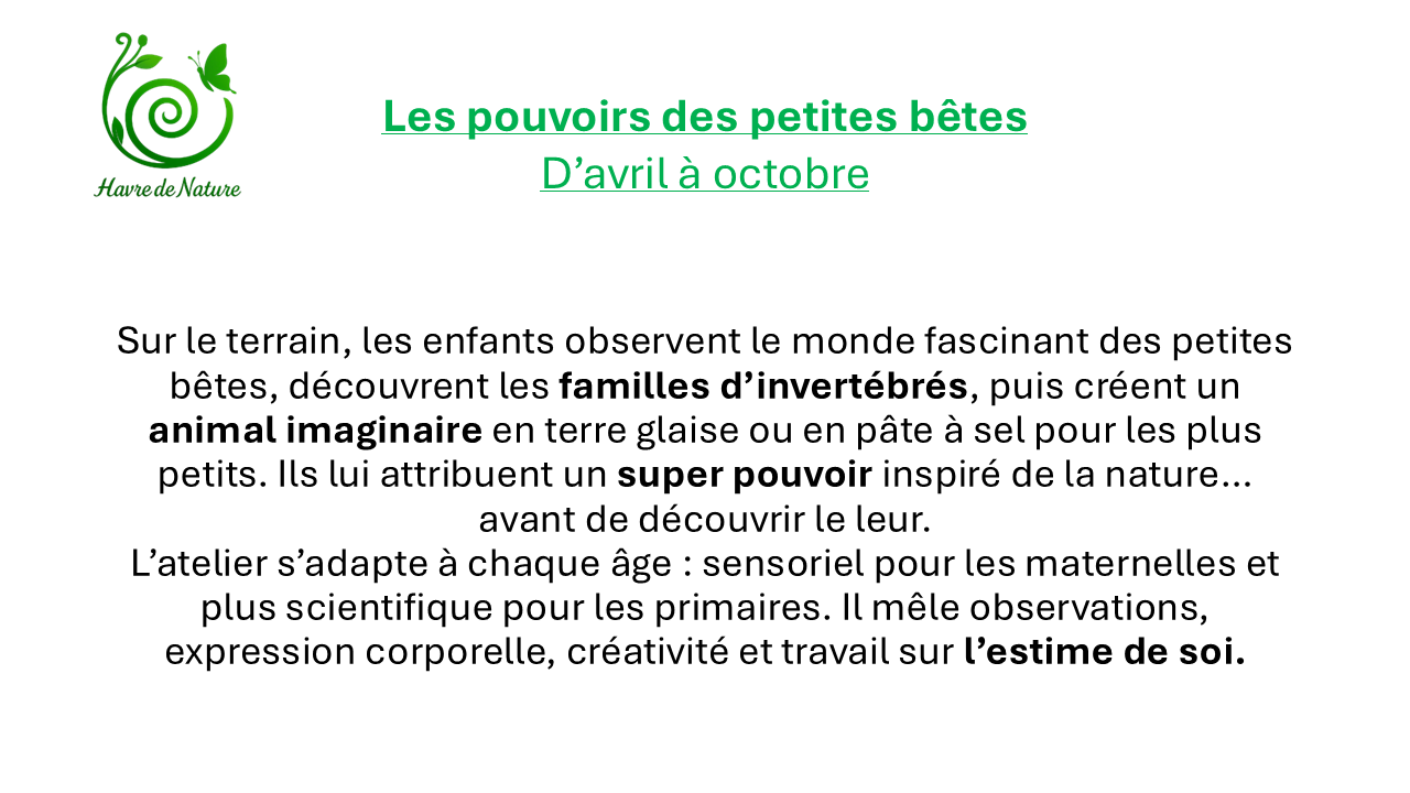 Presentation animations et classe nature correct